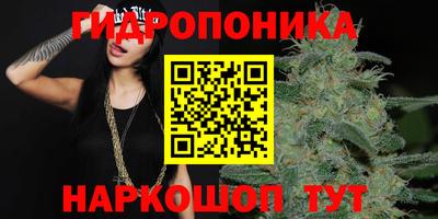 PSILOCYBIN Ижевск