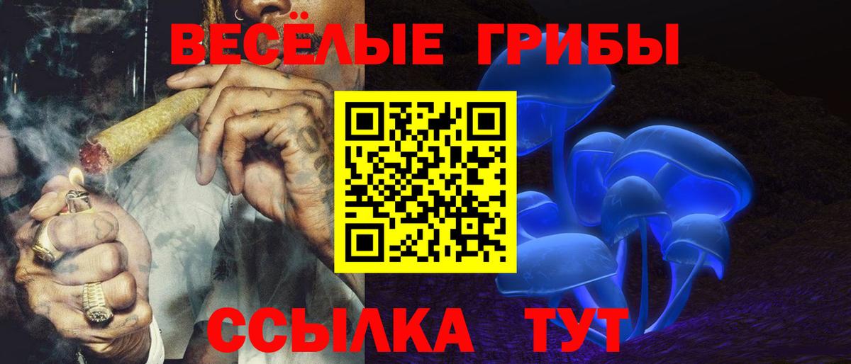 Галлюциногенные грибы мухоморы  Вход с VPN  Братск  Галлюциногенные грибы Cubensis 